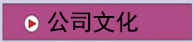公司文化